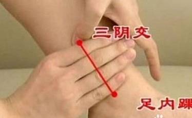 三阴交